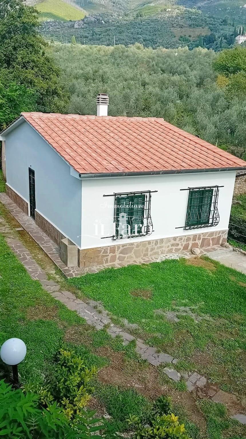 immagine annuncio 4 di 6