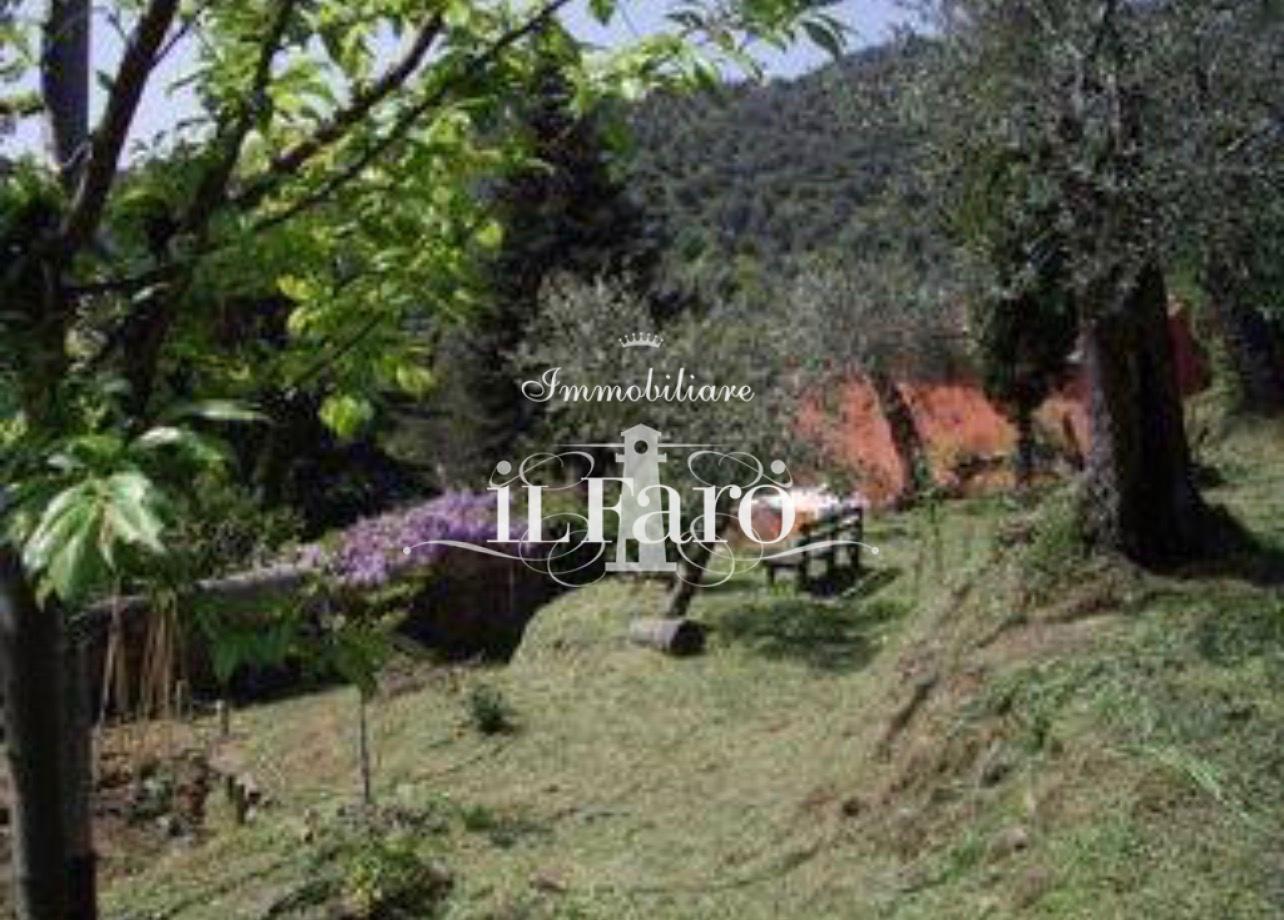 Villa con giardino, Massarosa stiava