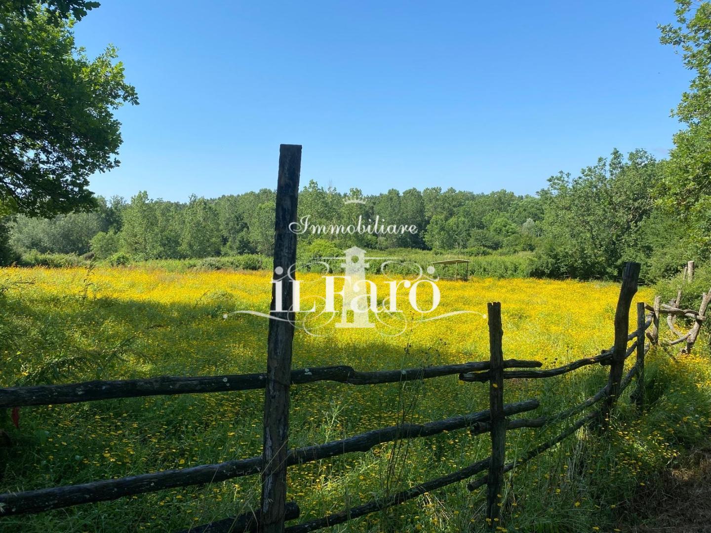 Attivit� commerciale in vendita a Fucecchio