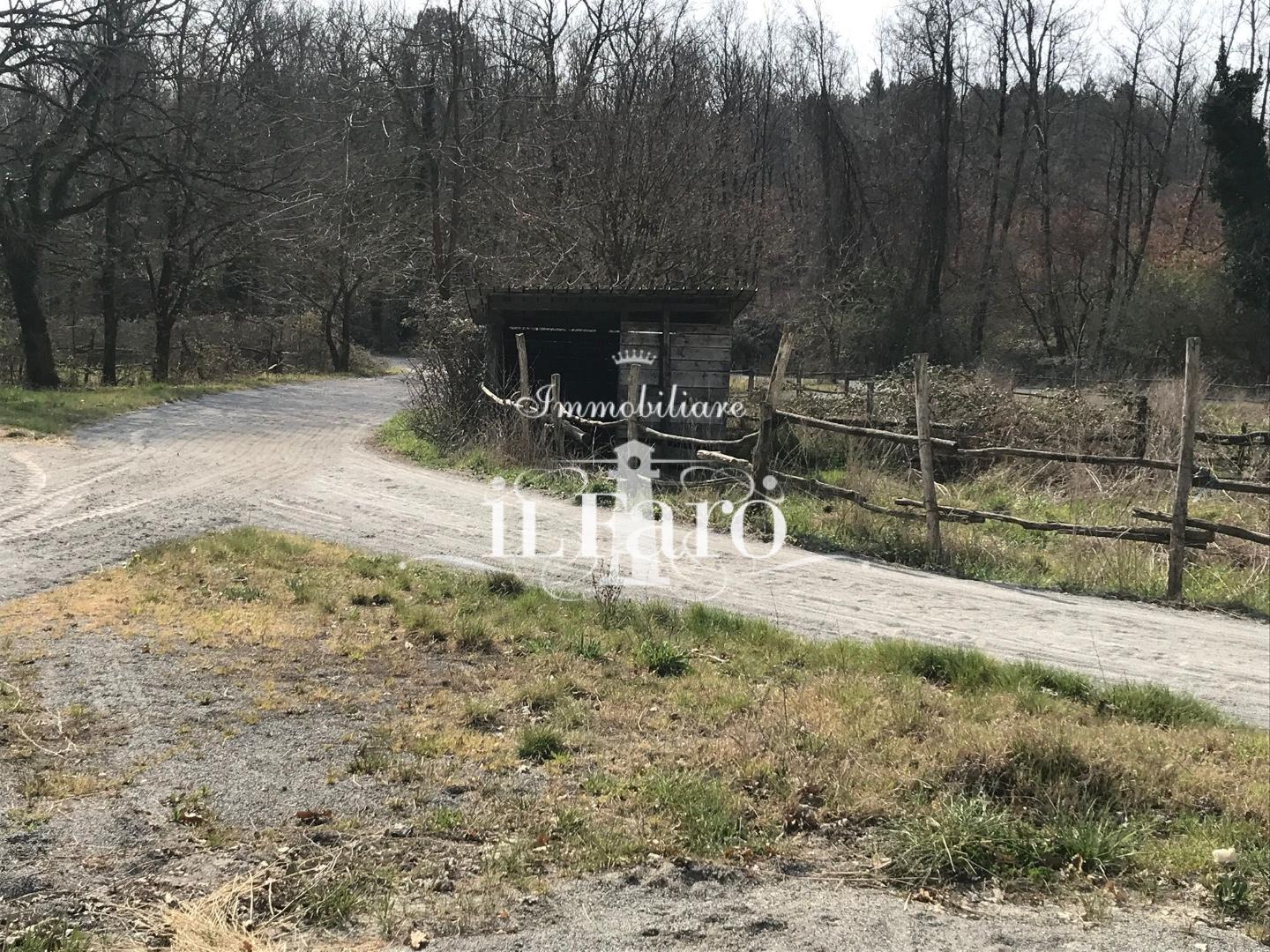 immagine annuncio 2 di 6