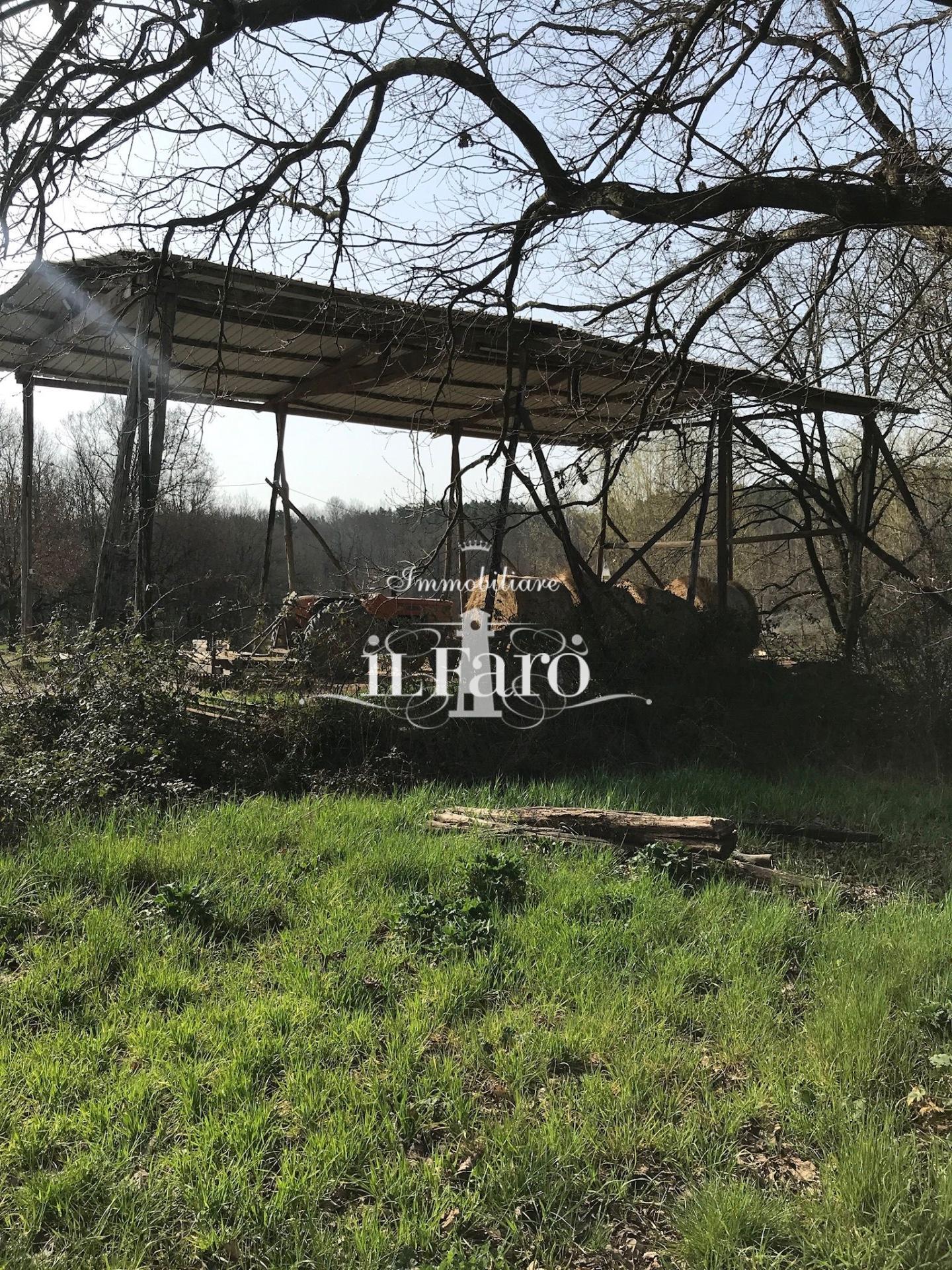 immagine annuncio 4 di 6