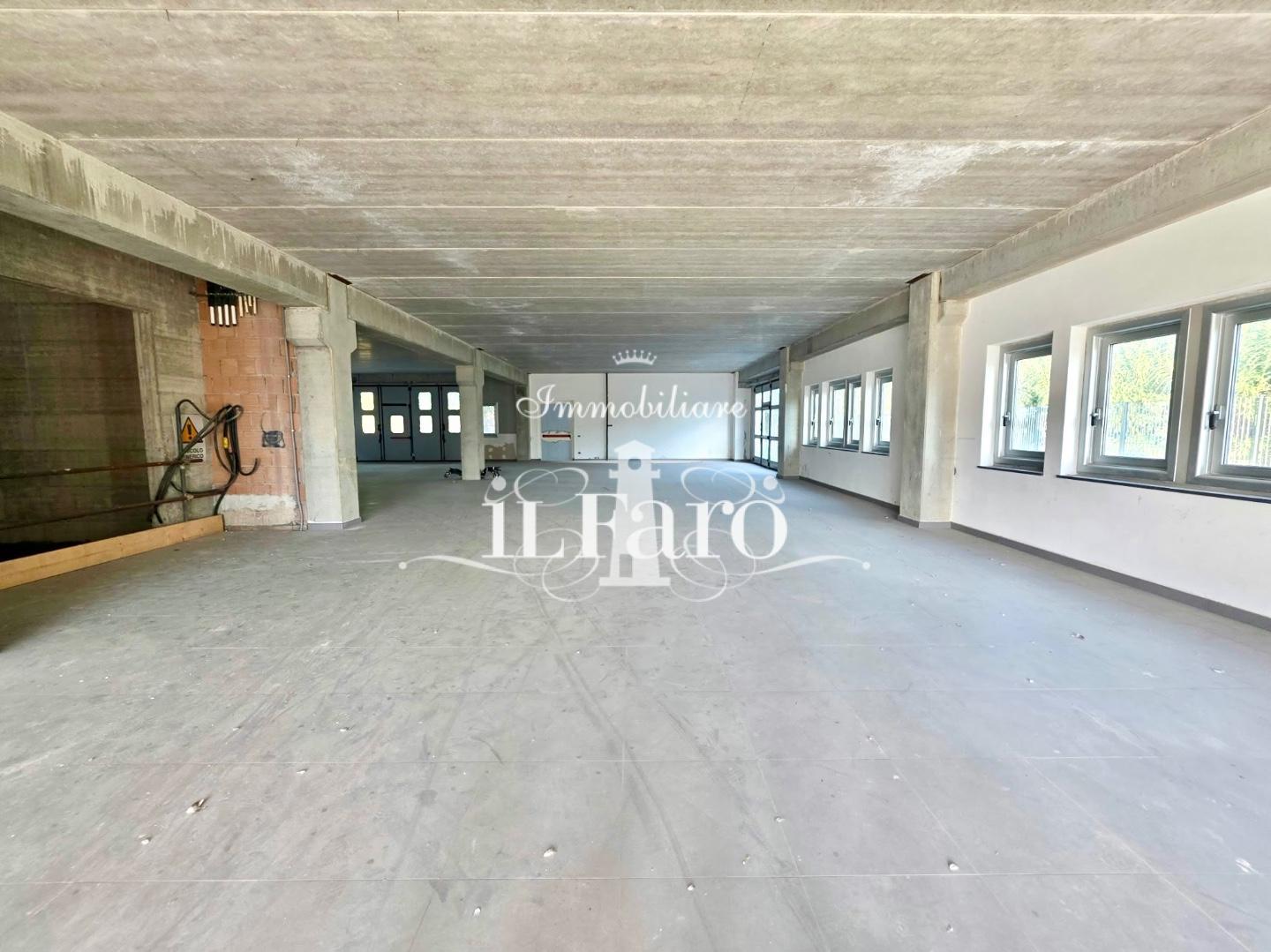 Capannone nuova, Camaiore capezzano pianore