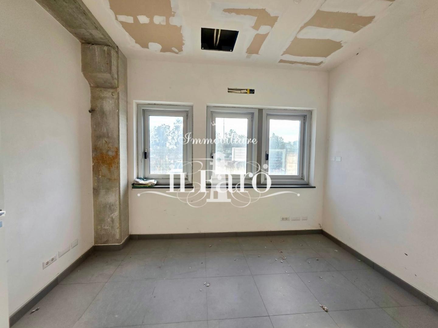 Capannone nuova, Camaiore capezzano pianore