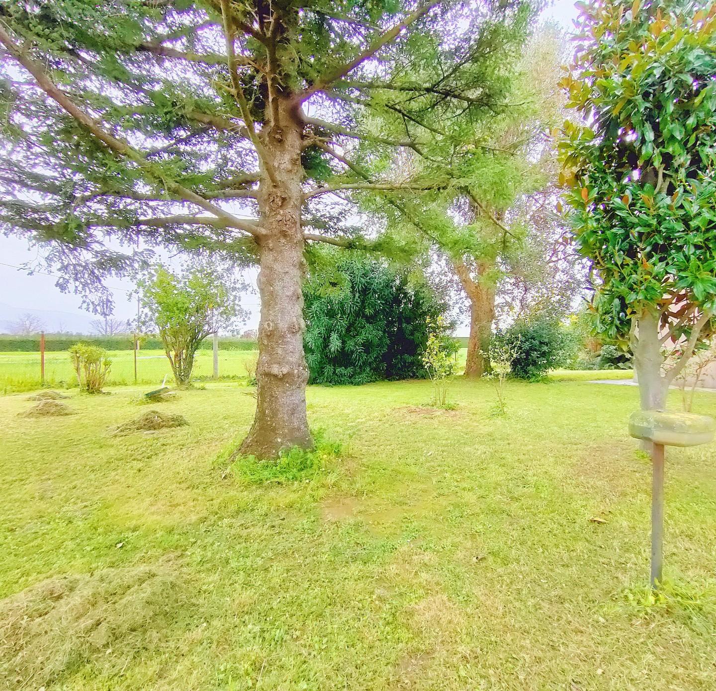 Casa indipendente con giardino, San Giuliano Terme sant'andrea in pescaiola