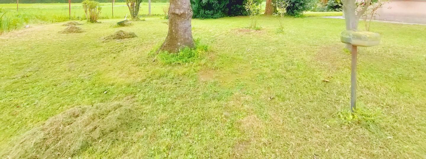 Casa indipendente con giardino, San Giuliano Terme sant'andrea in pescaiola