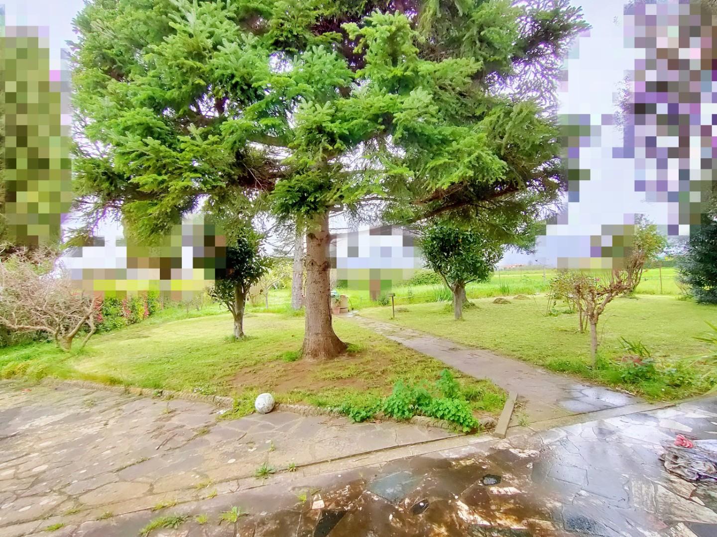 Casa indipendente con giardino, San Giuliano Terme sant'andrea in pescaiola