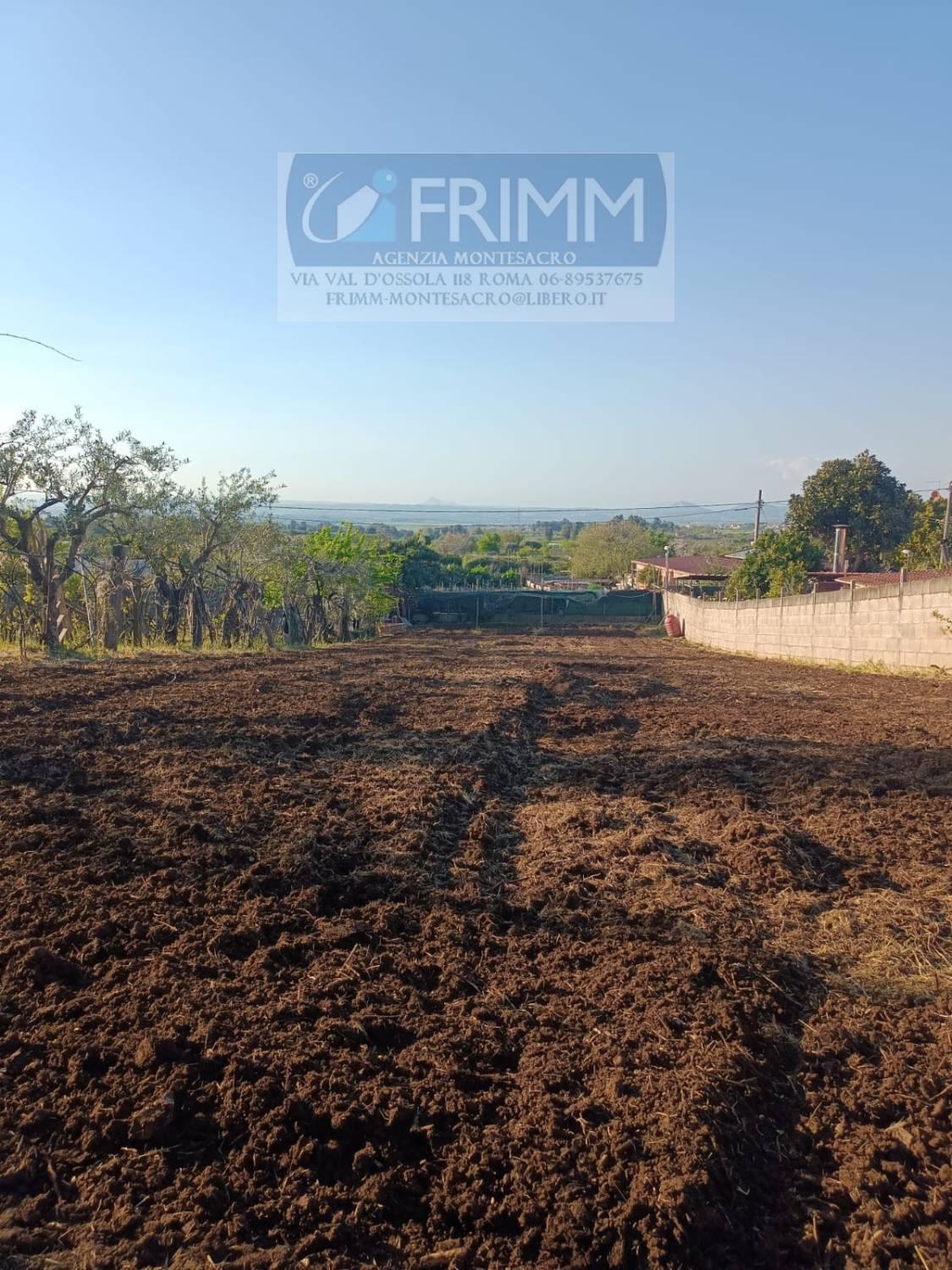 Terreno Agricolo in vendita a San Cesareo
