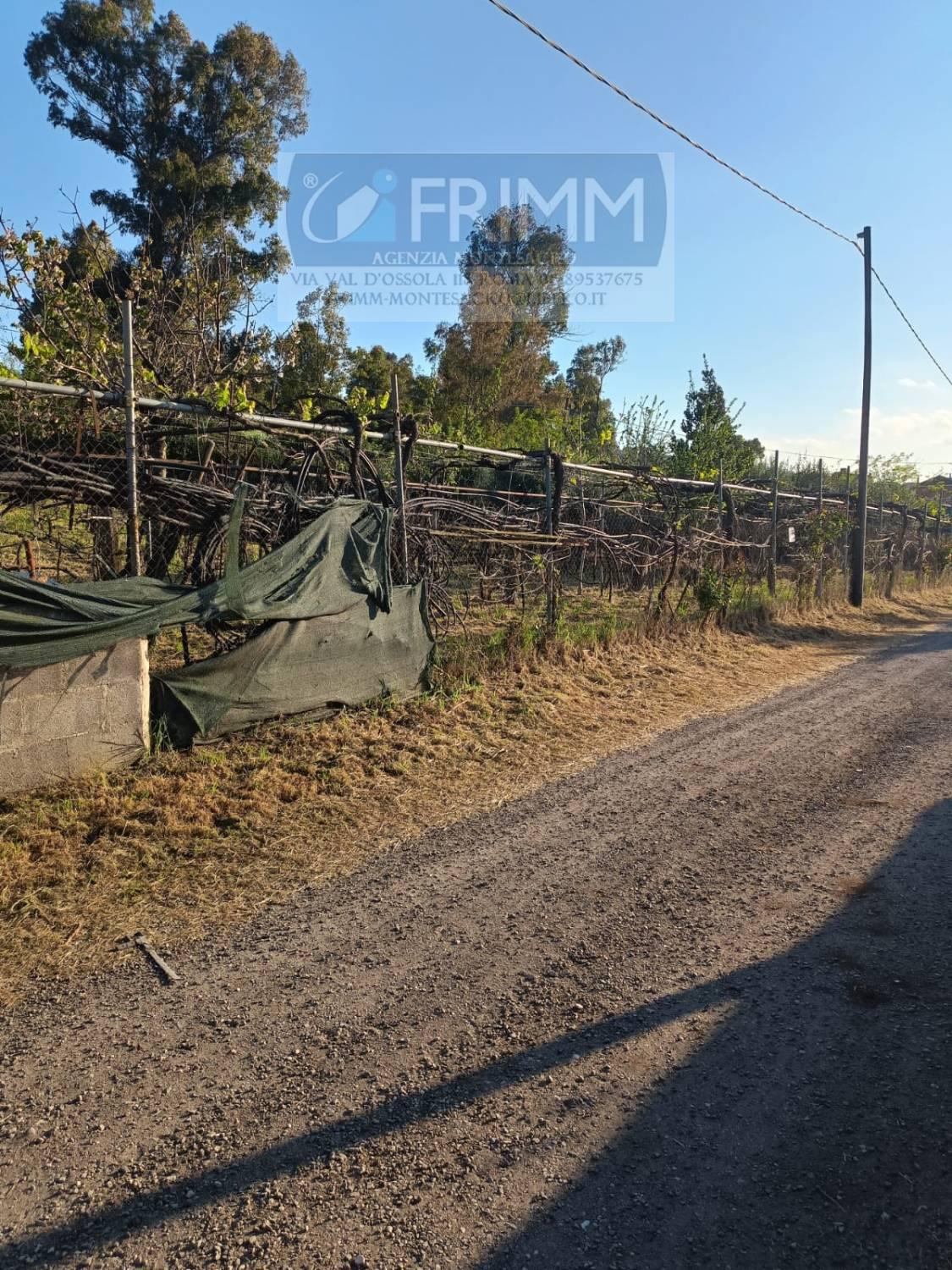 Terreno Agricolo in vendita a San Cesareo