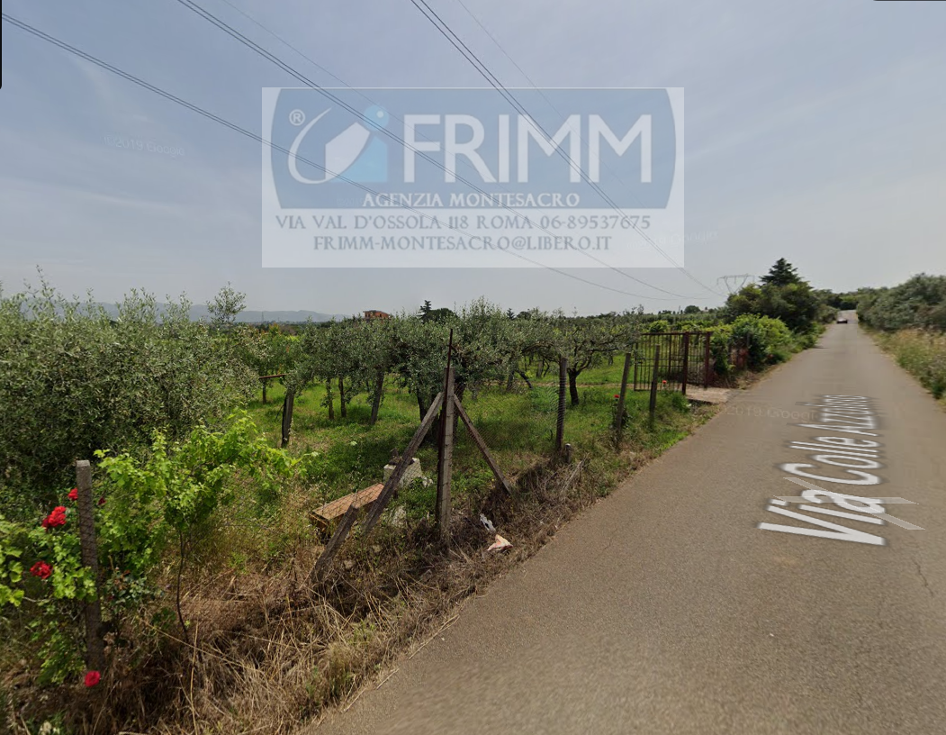 Terreno Agricolo in vendita a San Cesareo
