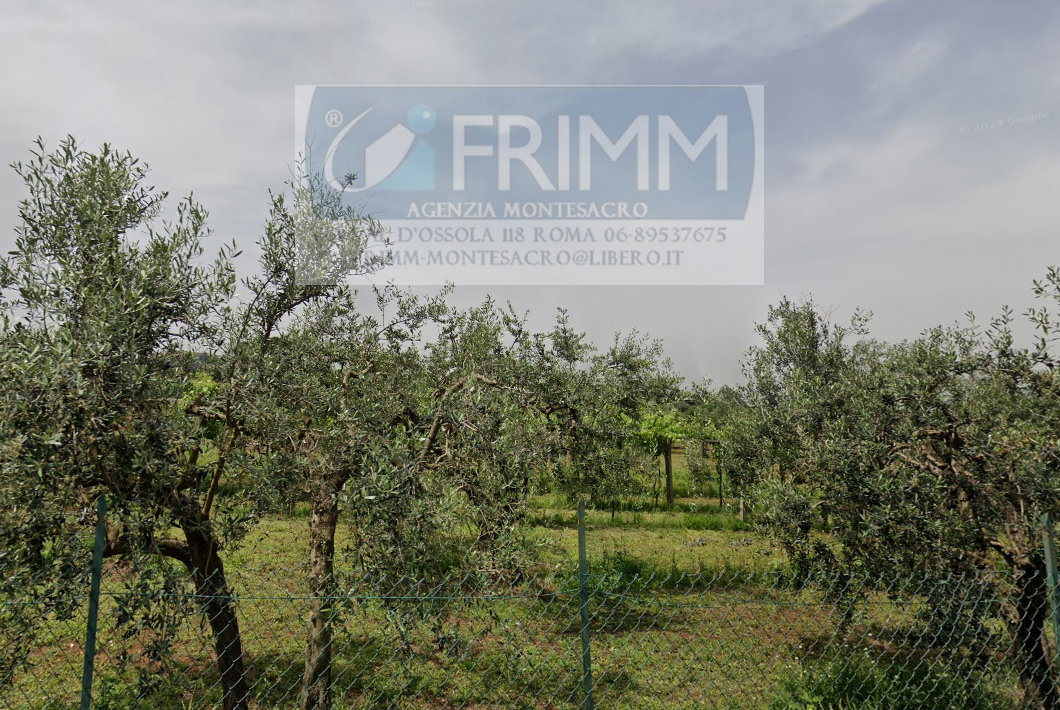 Terreno Agricolo in vendita a San Cesareo