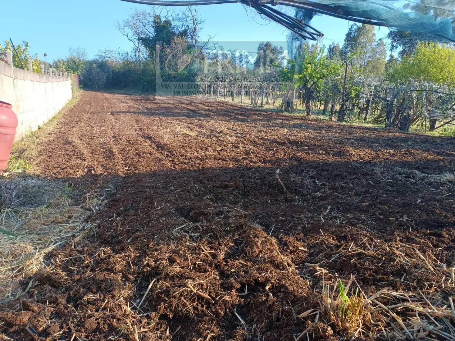 Terreno Agricolo in vendita a San Cesareo