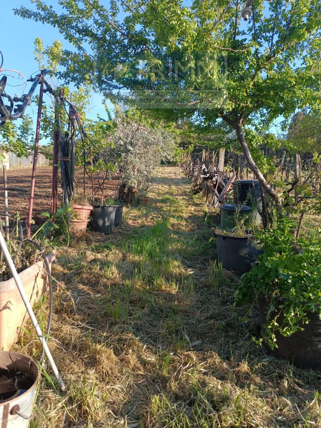 Terreno Agricolo in vendita a San Cesareo