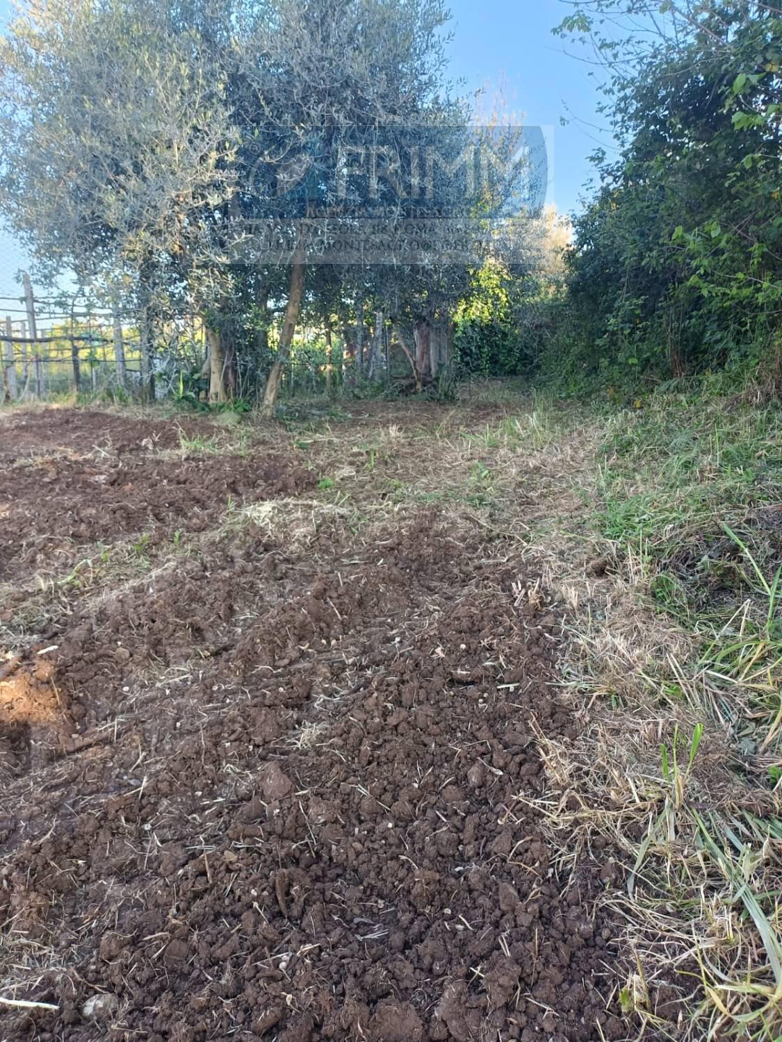 Terreno Agricolo in vendita a San Cesareo