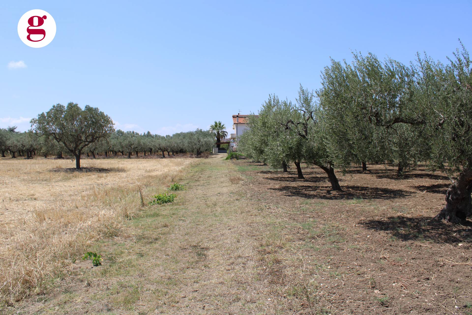 immagine annuncio 2 di 6