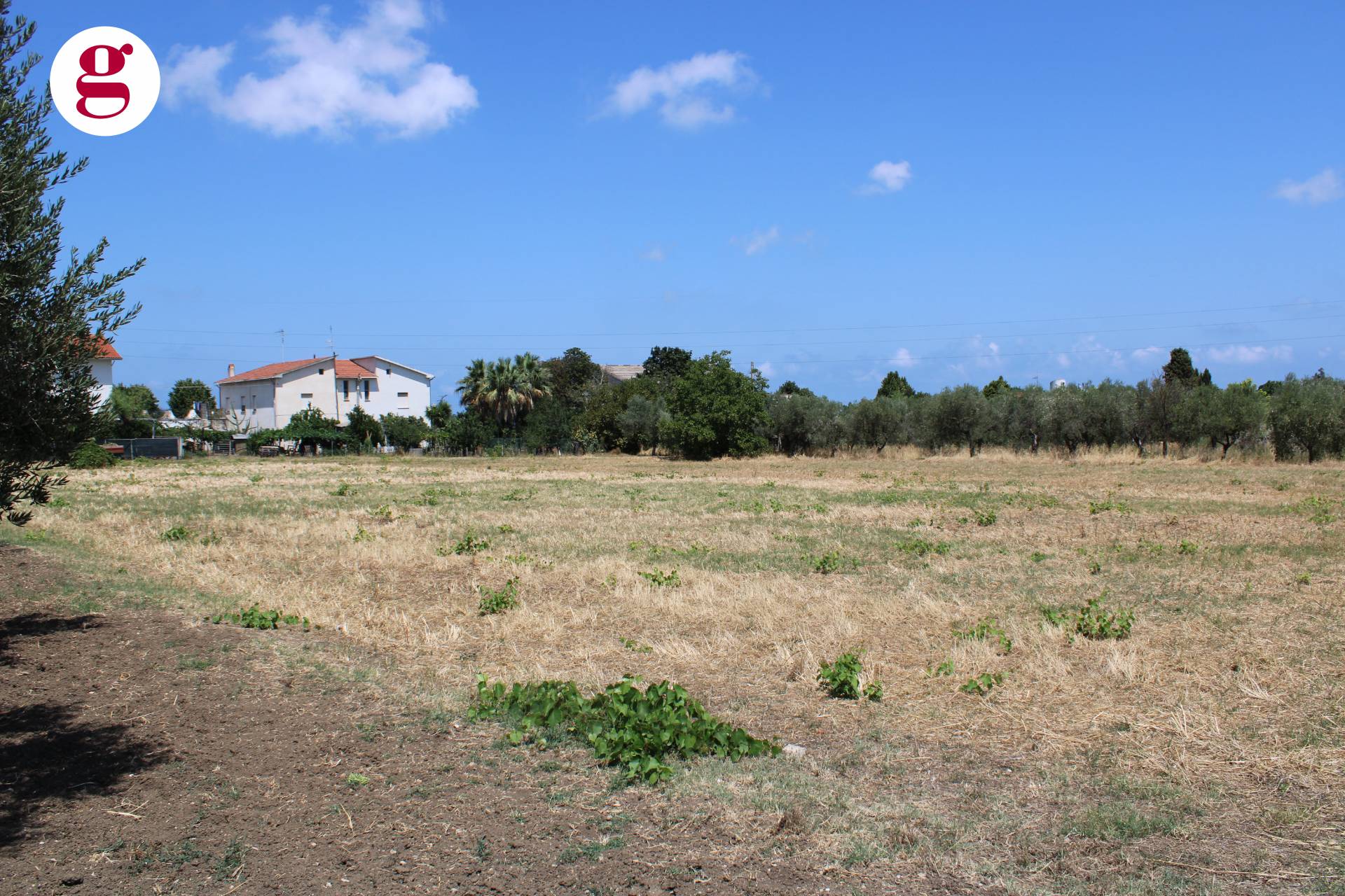 immagine annuncio 3 di 6