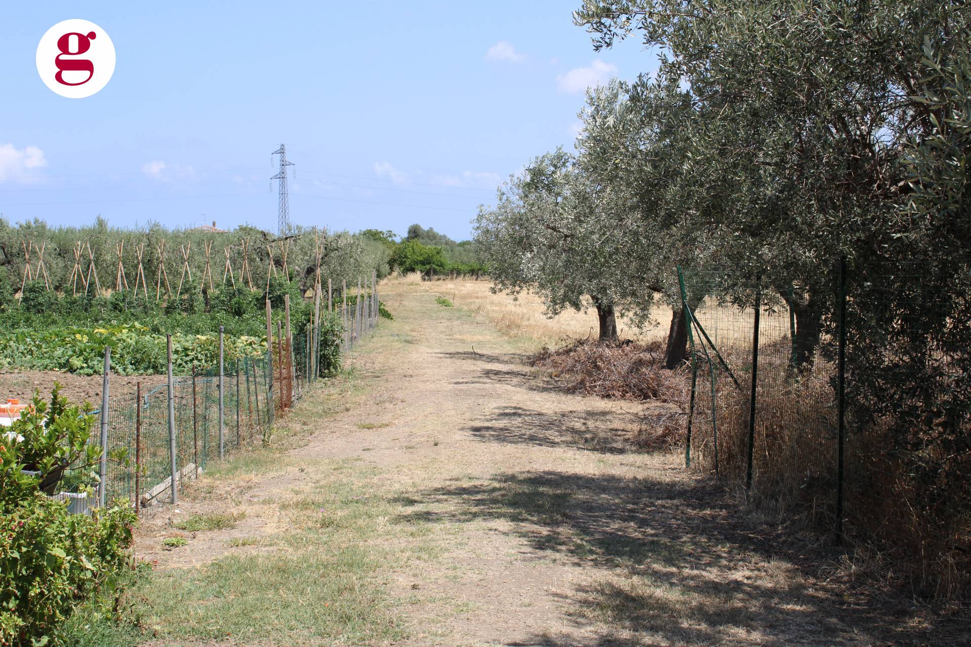 immagine annuncio 4 di 6