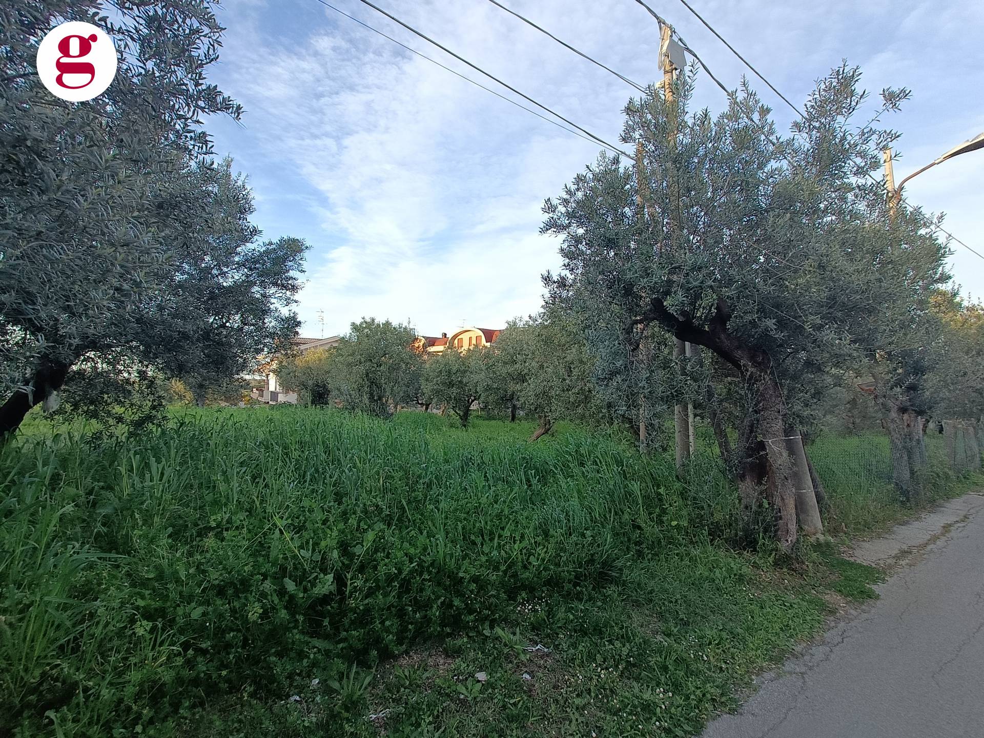immagine annuncio 1 di 6