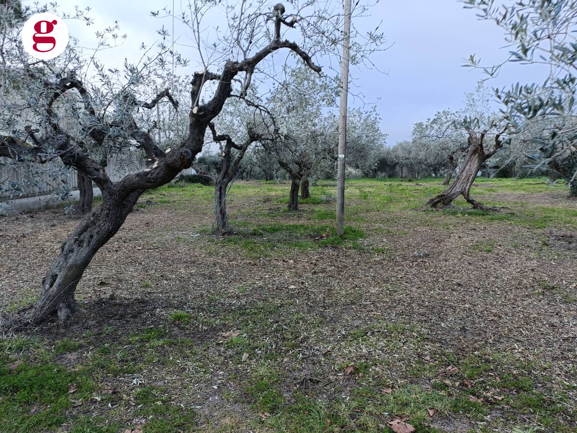 Terreno edificabile in vendita a Vasto, Vasto Paese