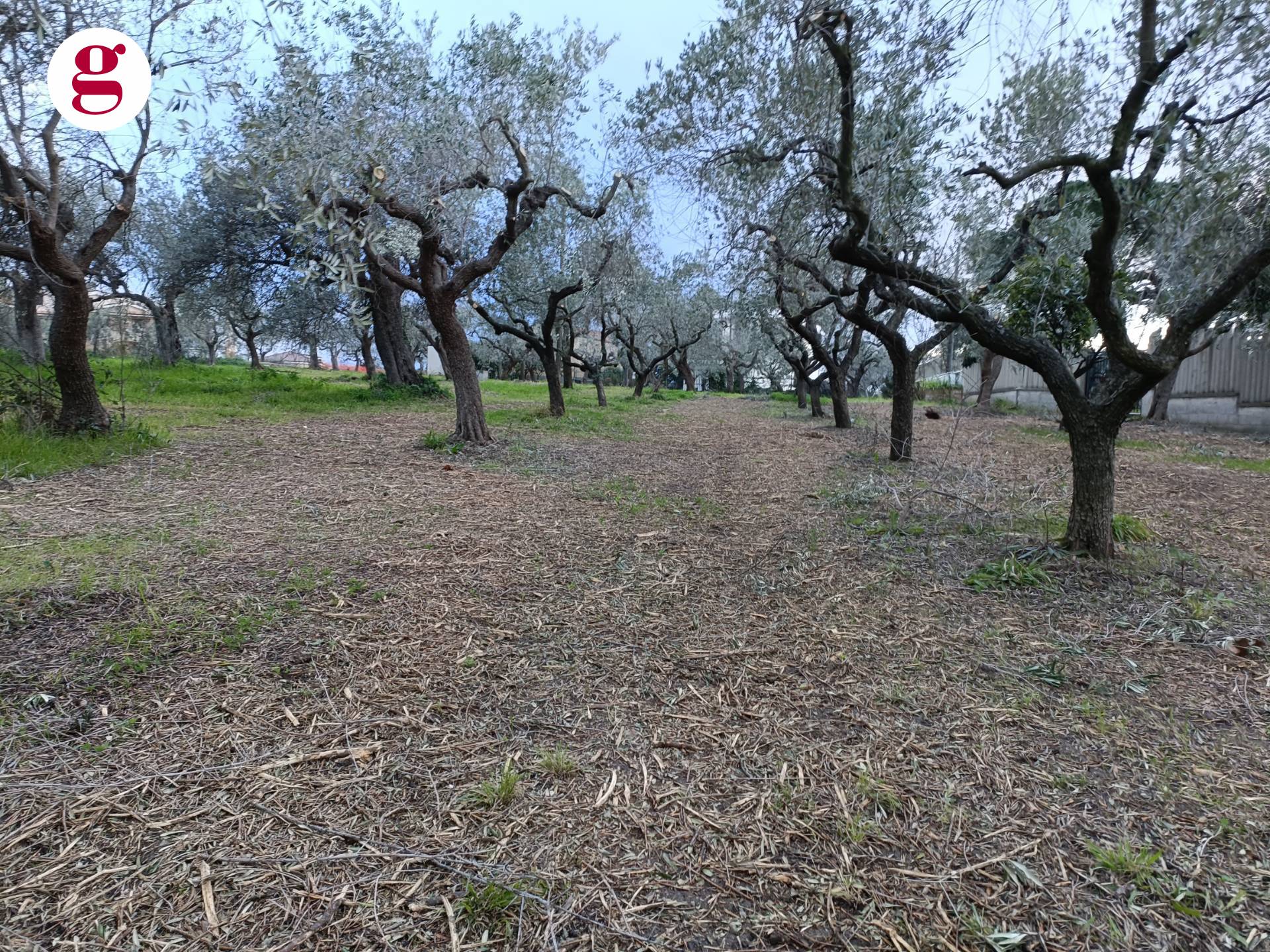 Terreno edificabile in vendita a Vasto, Vasto Paese