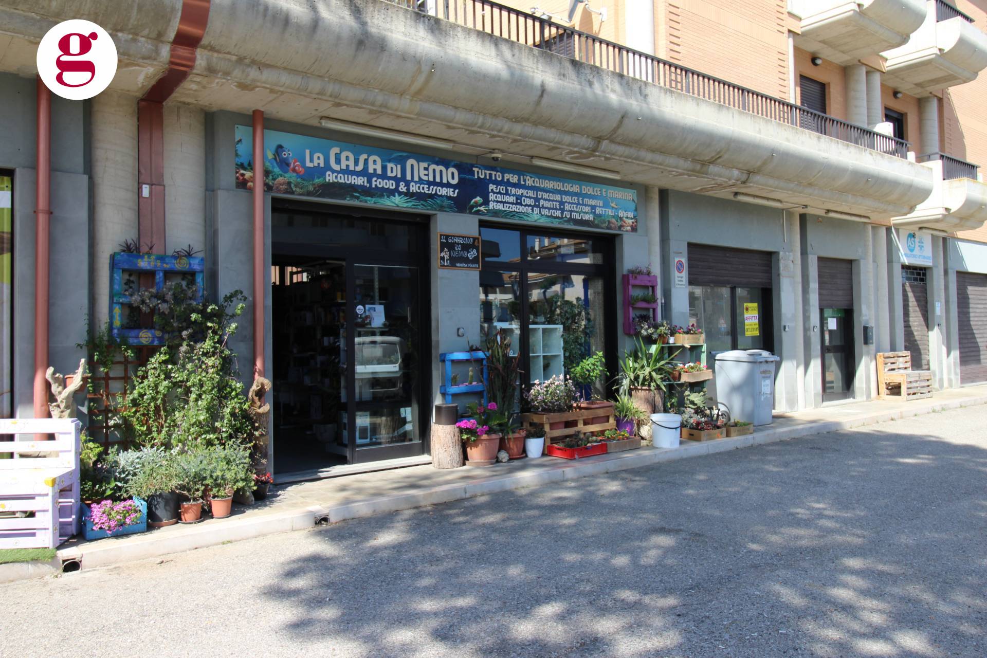 Locale commerciale in vendita a Vasto, Vasto Marina