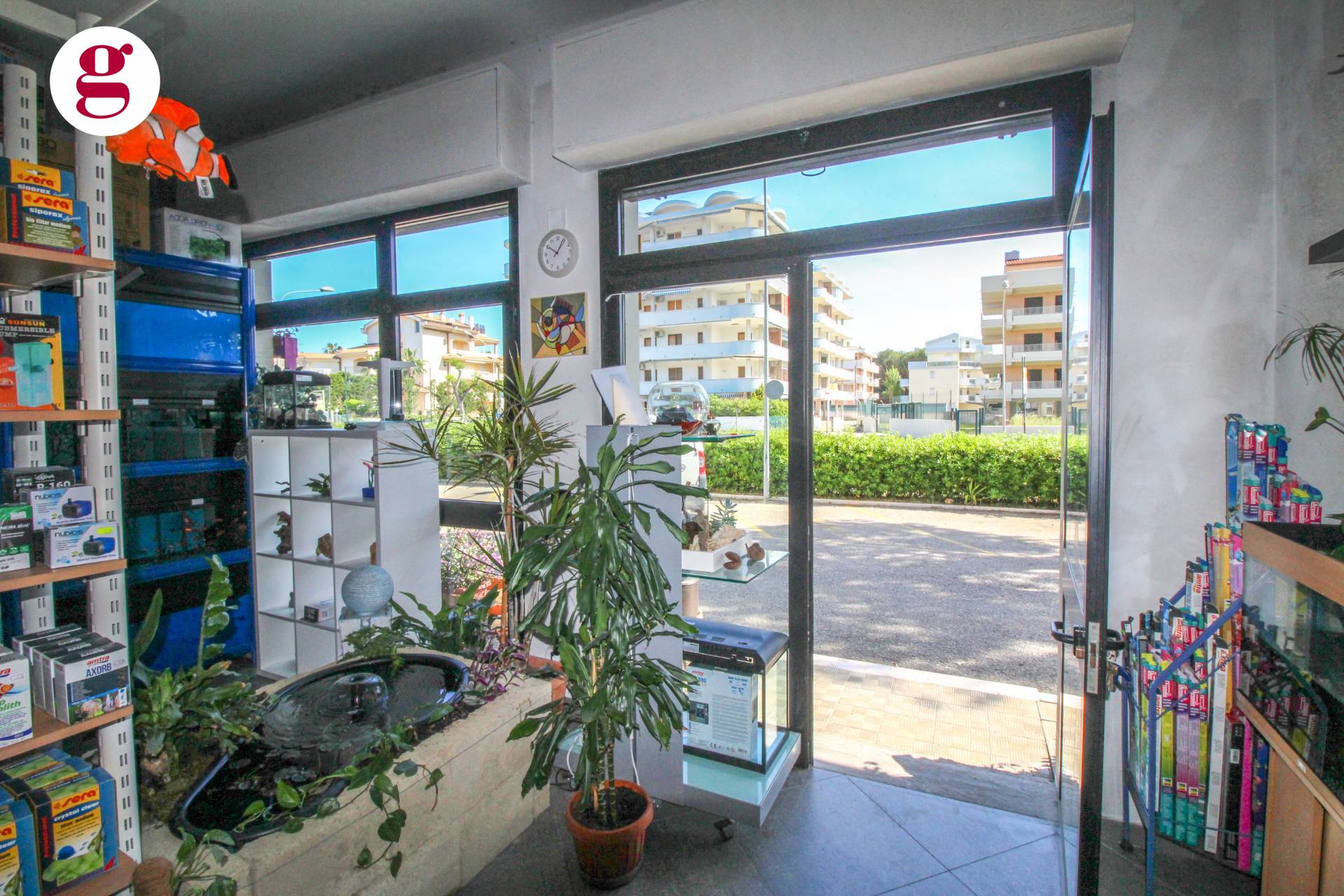 immagine annuncio 5 di 10