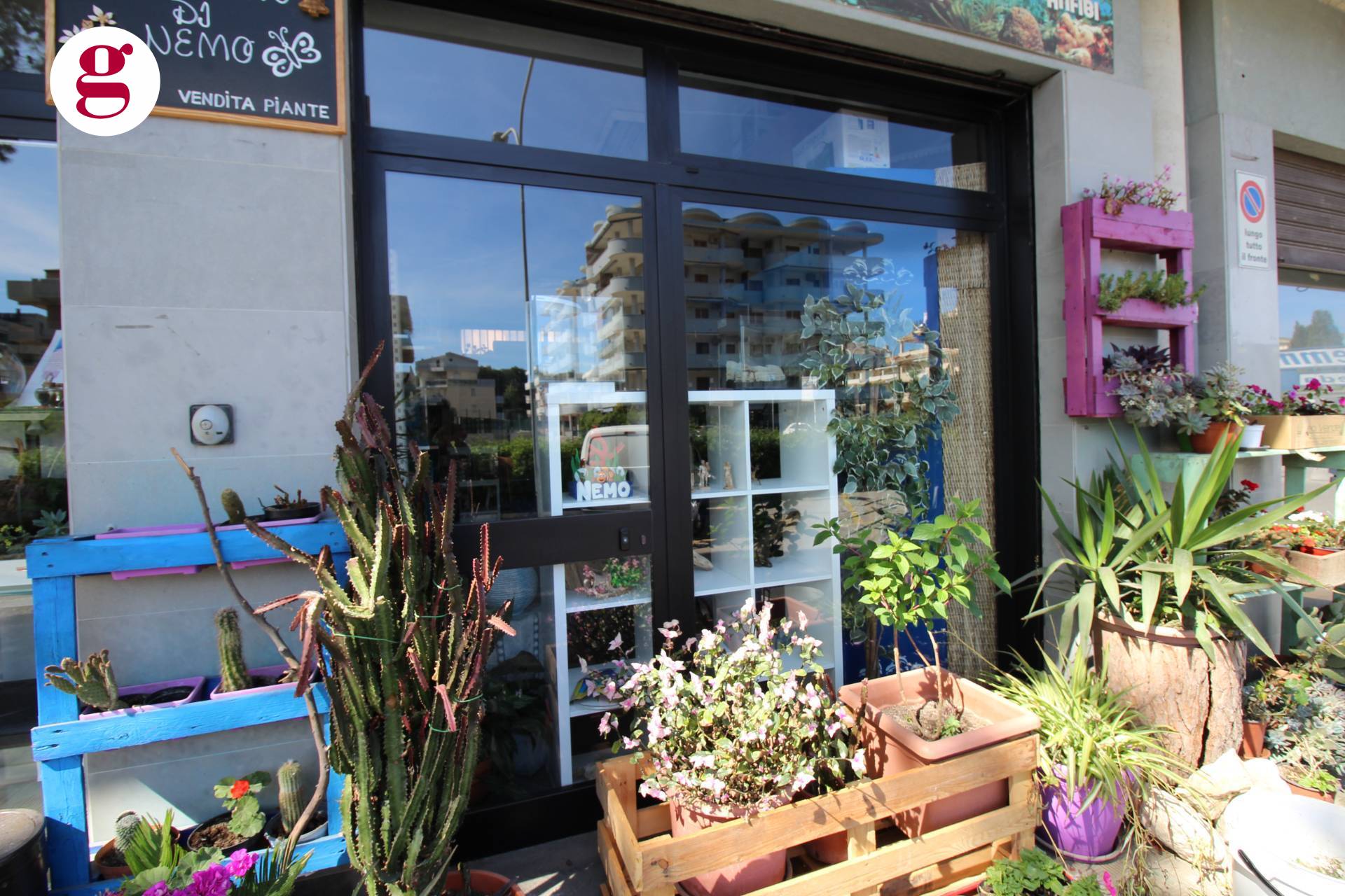 immagine annuncio 6 di 10