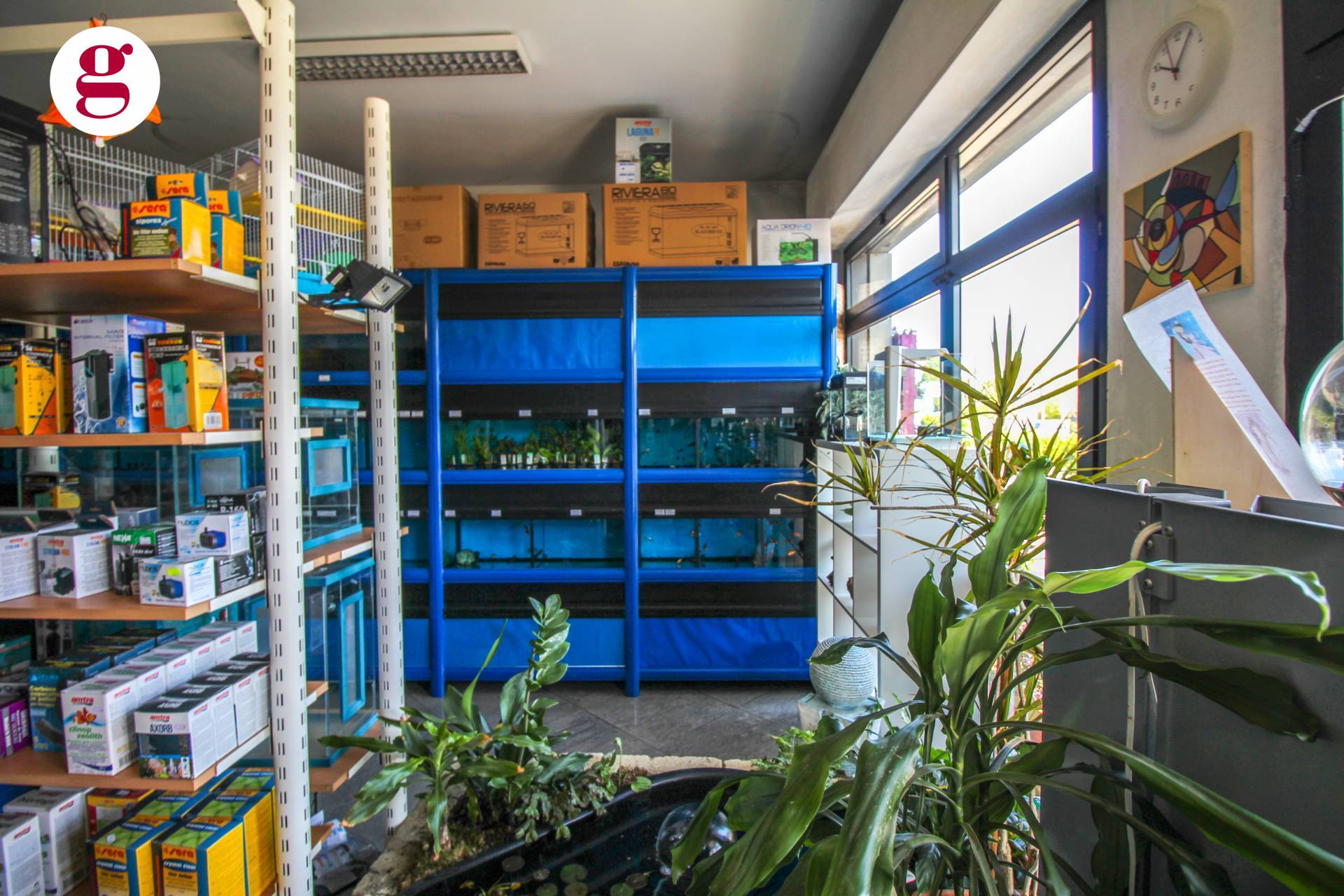 immagine annuncio 8 di 10