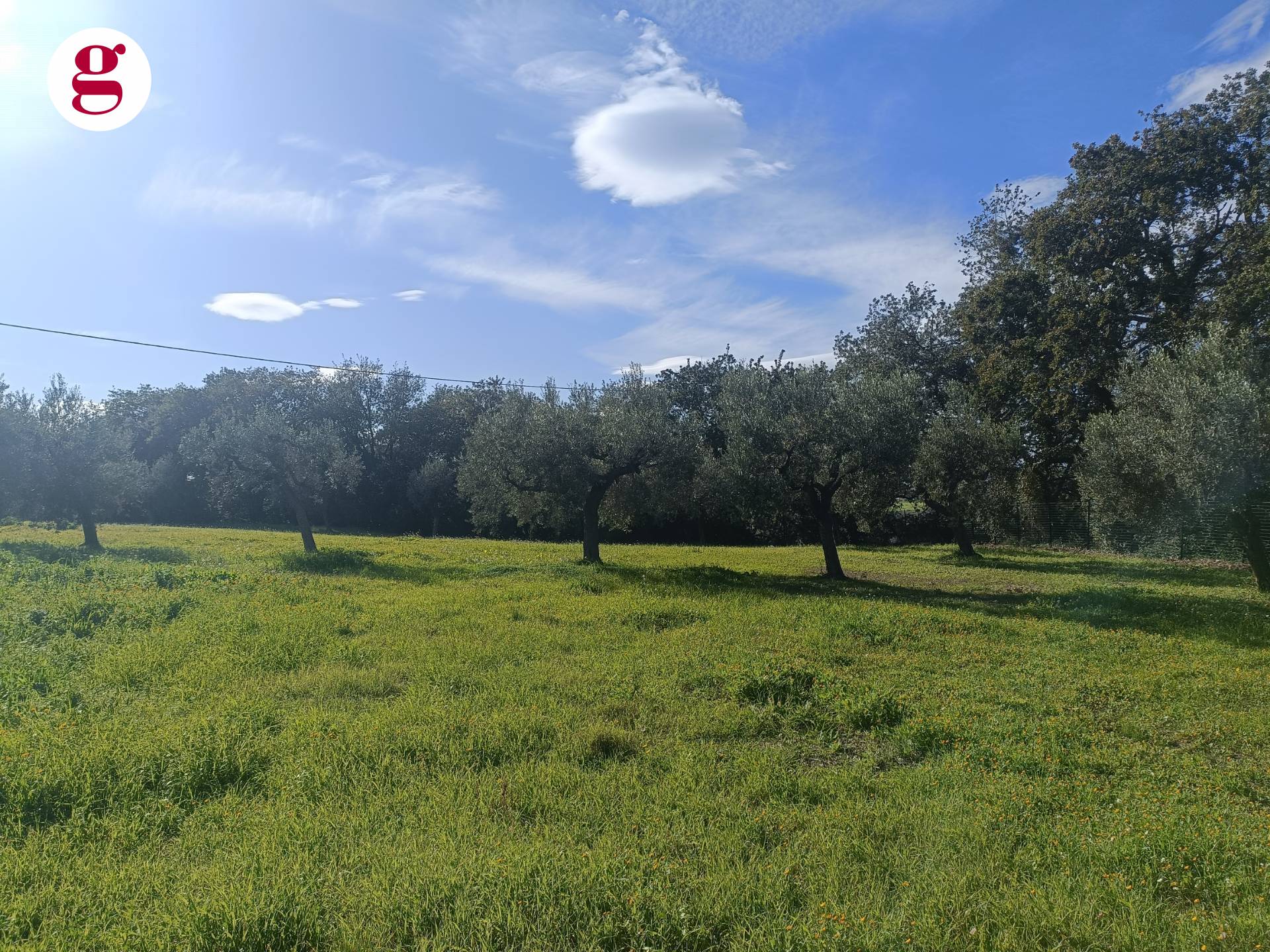 Villa in vendita a Vasto, Vasto Paese