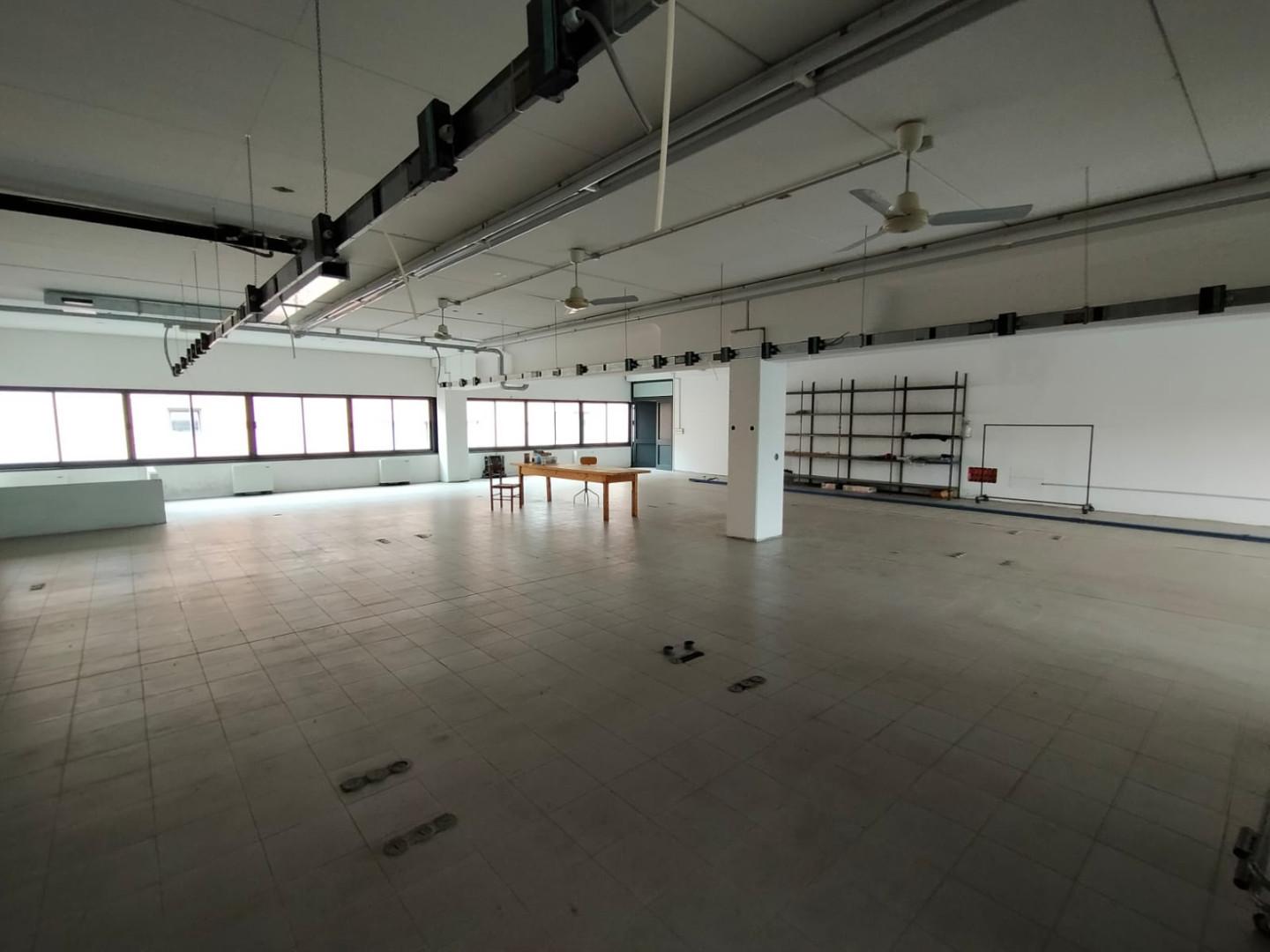 Laboratorio in affitto, San Giuliano Terme pappiana