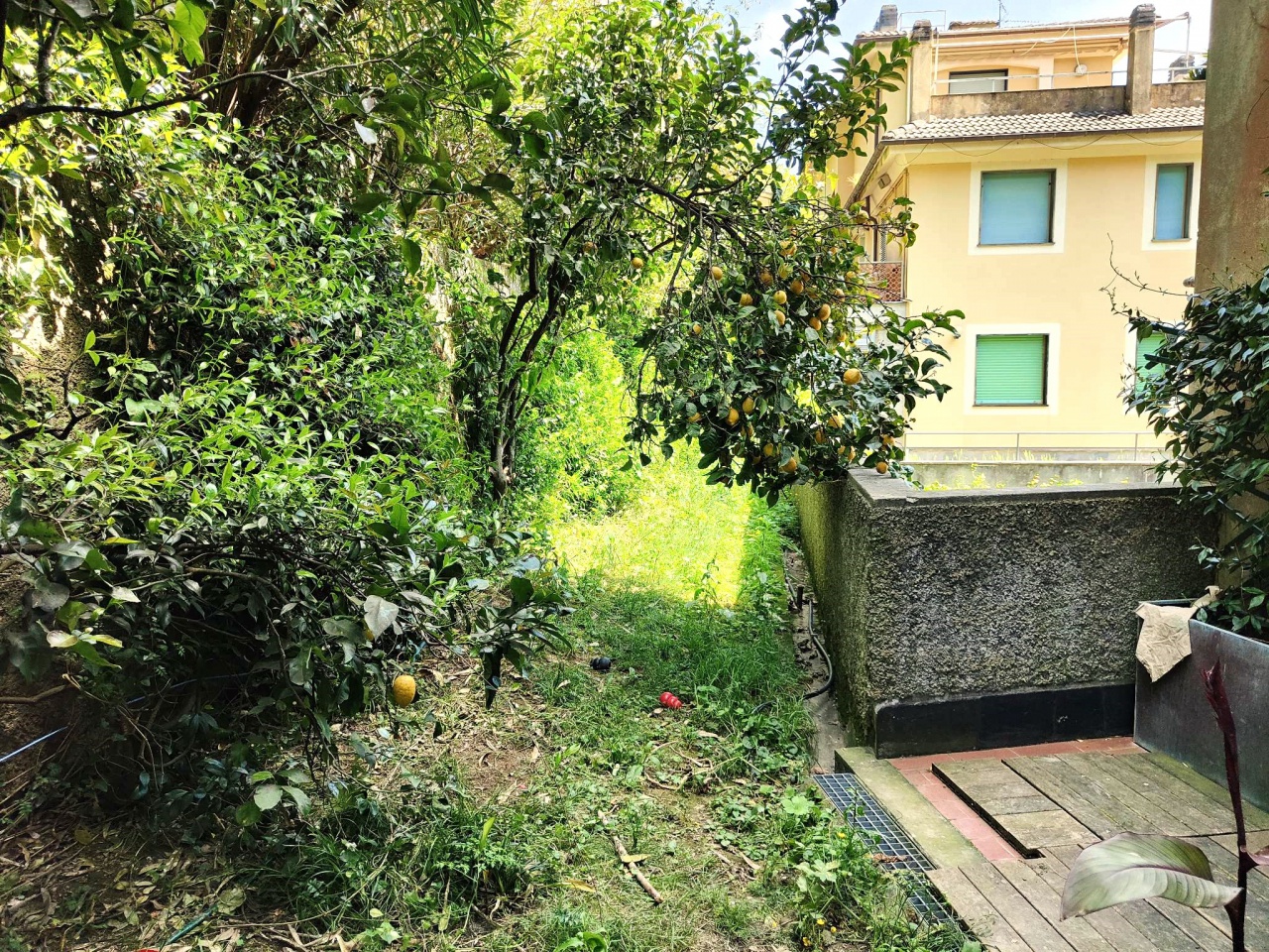 immagine annuncio 3 di 10