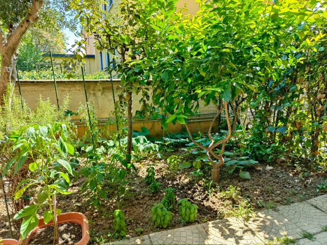 Villa con giardino a Cologno Monzese