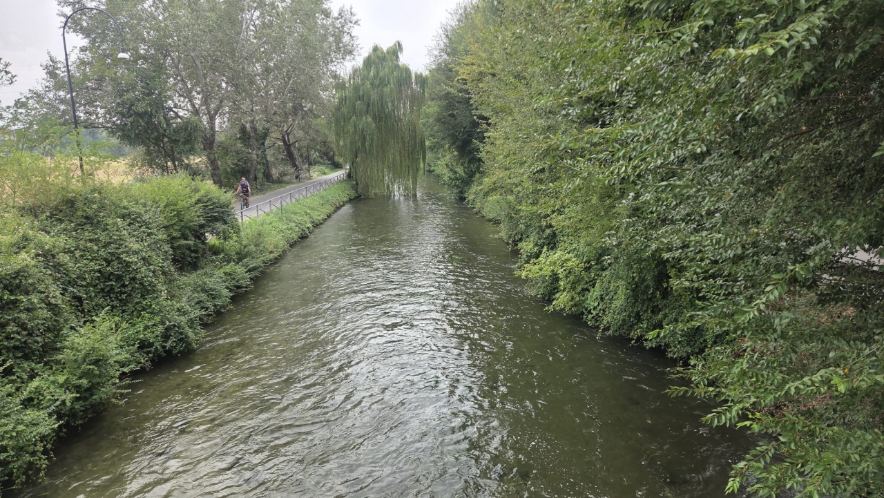 Trilocale arredato in affitto a Vimodrone