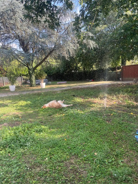 Villa con giardino a Vimercate