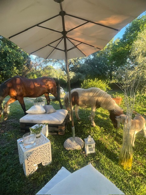 Villa con giardino a Vimercate