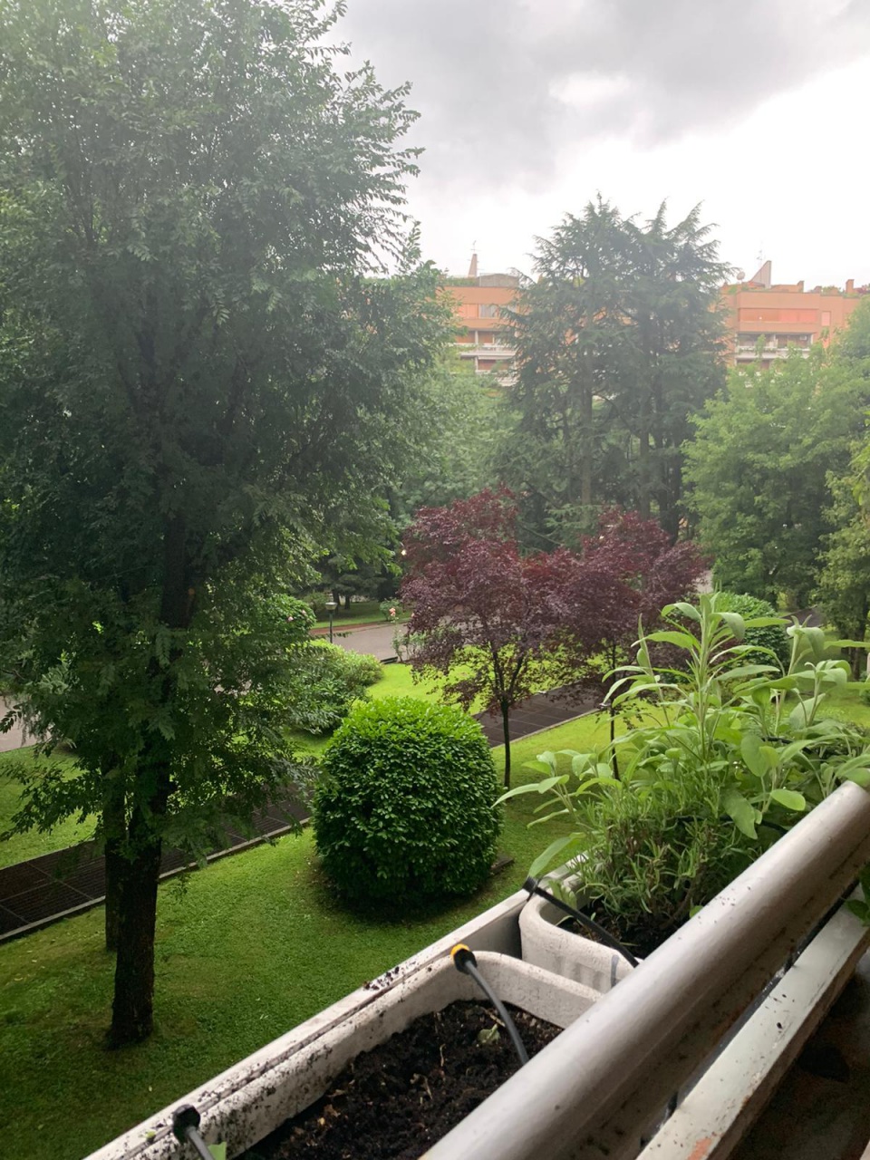 Trilocale in vendita a Cologno Monzese