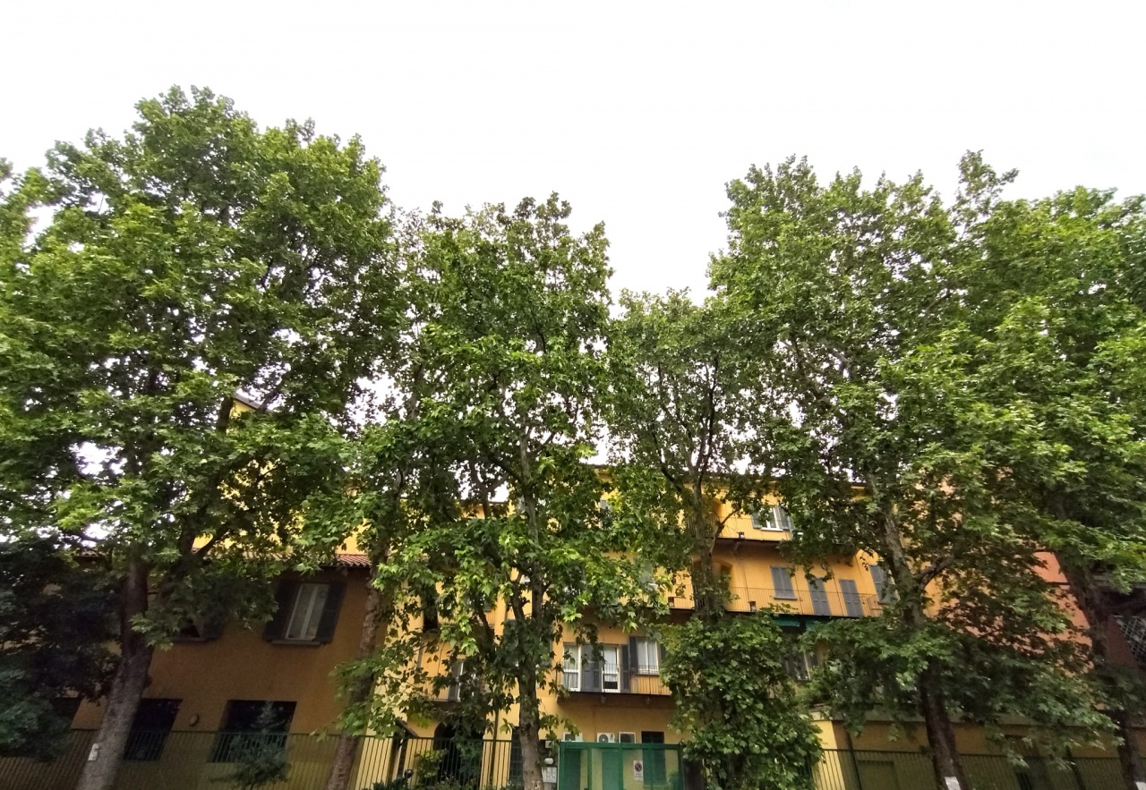 Bilocale arredato in affitto a Milano