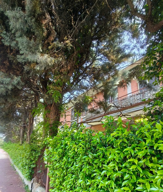 Villa con giardino a Cinisello Balsamo