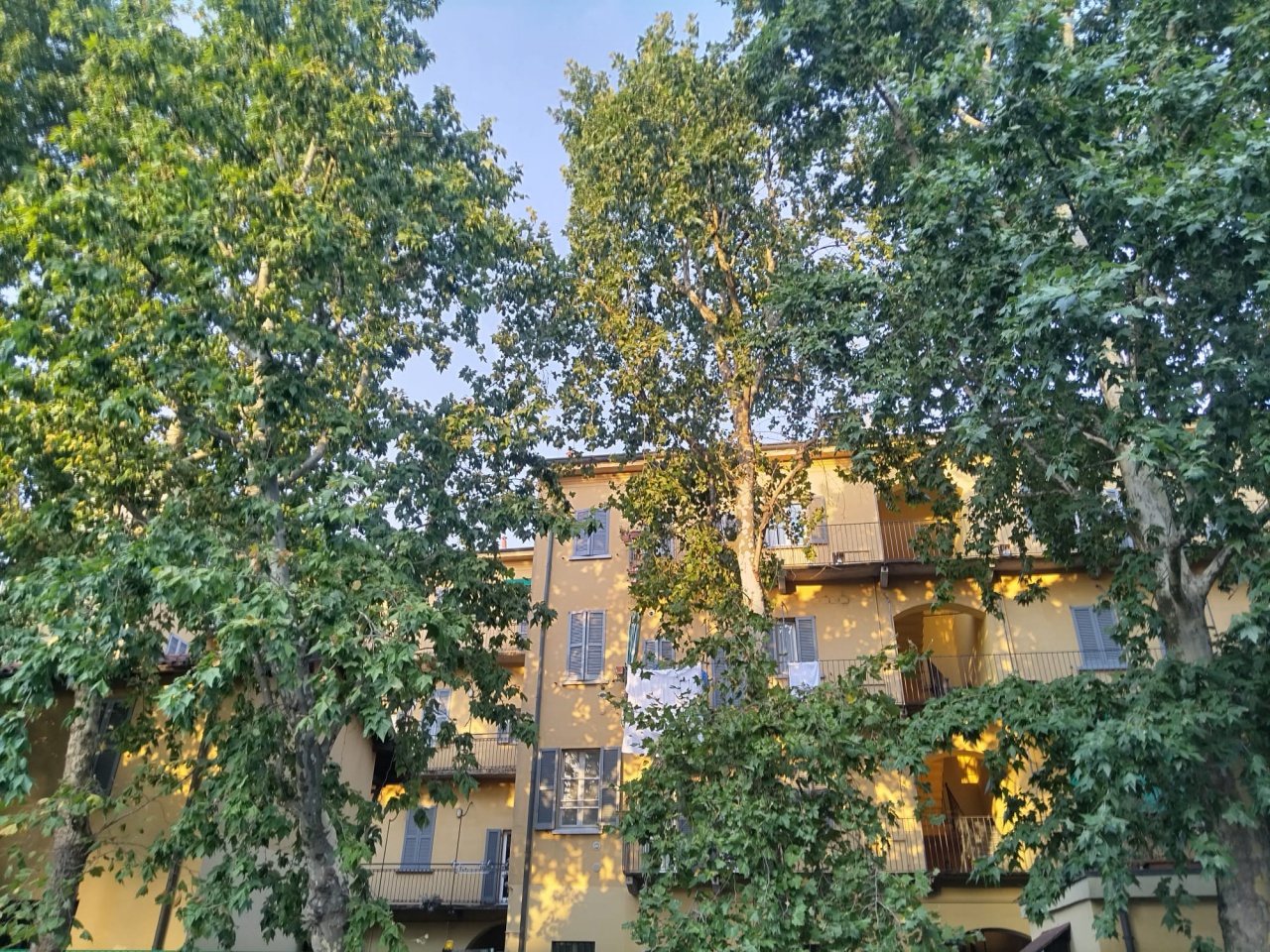 Bilocale arredato in affitto a Milano