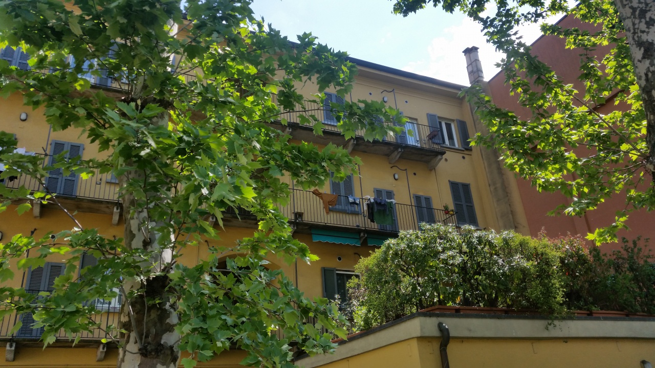 Trilocale arredato in affitto a Milano
