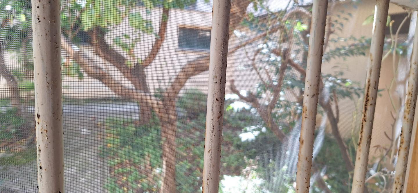 Negozio in vendita, Livorno centro