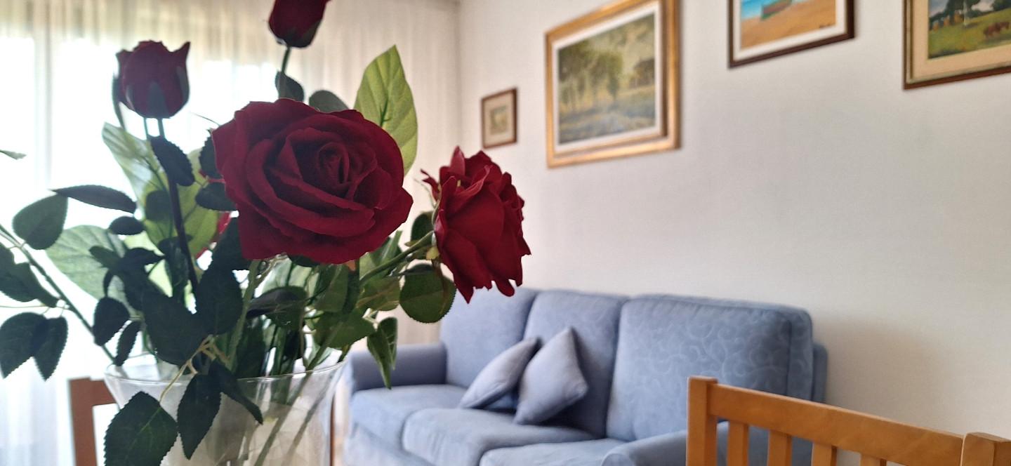 Quadrilocale in vendita, Livorno scopaia