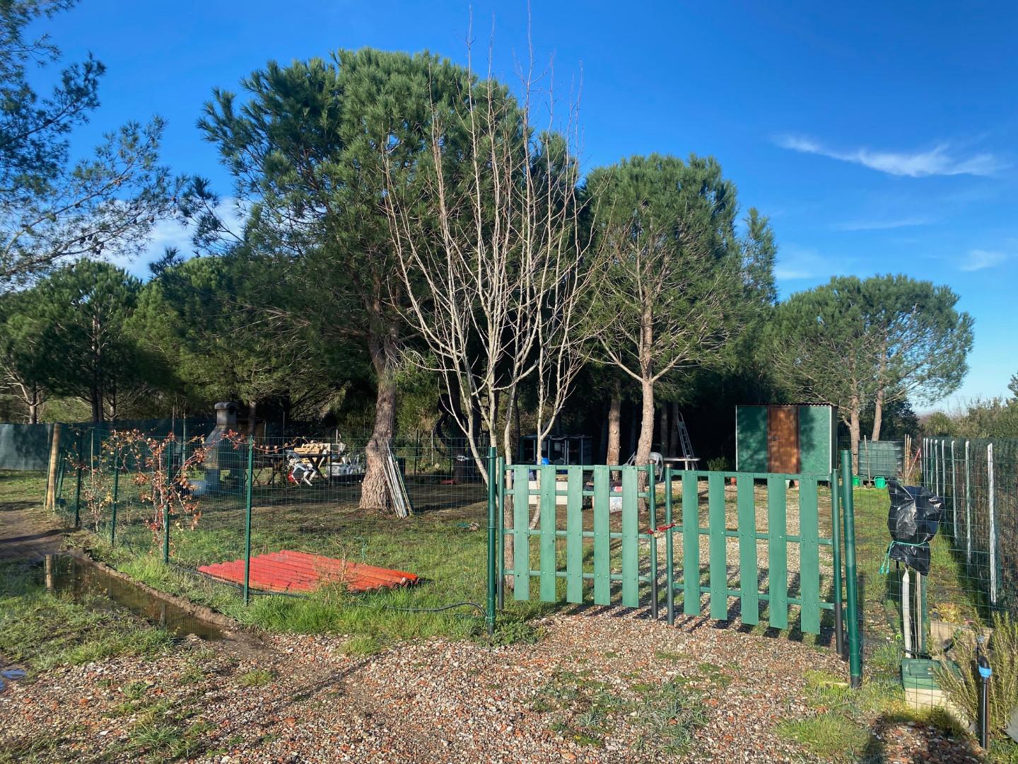 Terreno Agricolo in affitto a Livorno