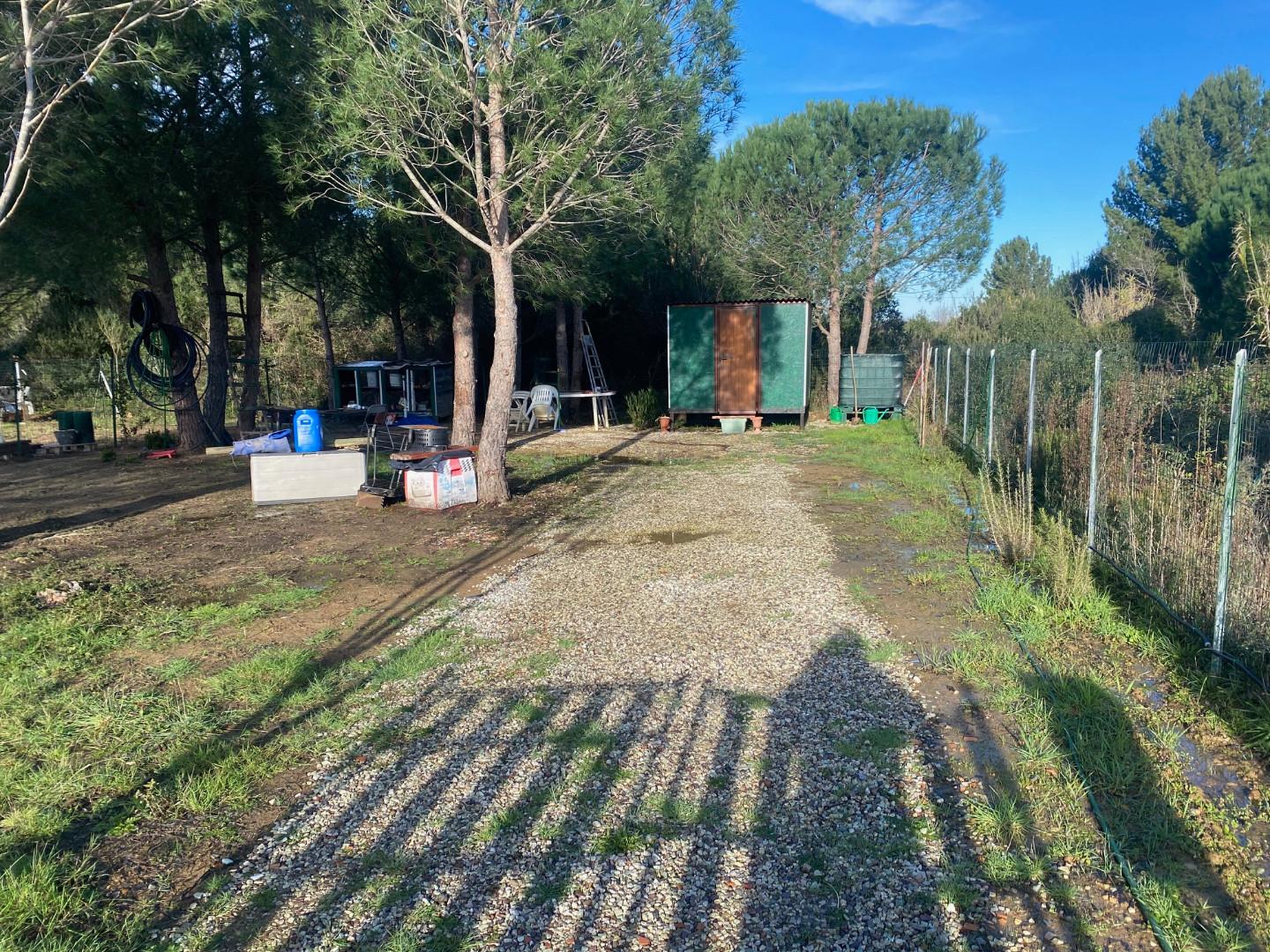 Terreno Agricolo in affitto a Livorno