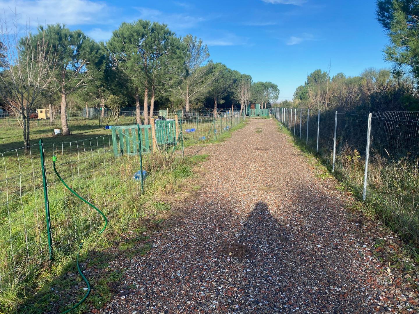 Terreno Agricolo in affitto a Livorno