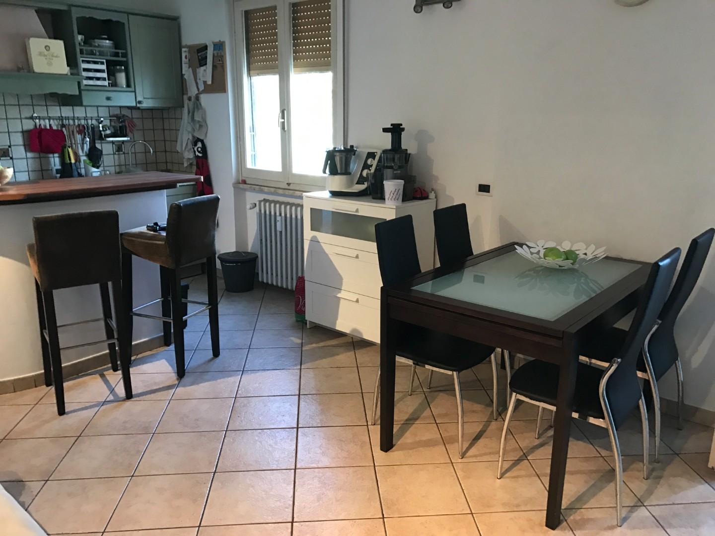 Bilocale arredato in affitto, Livorno stadio