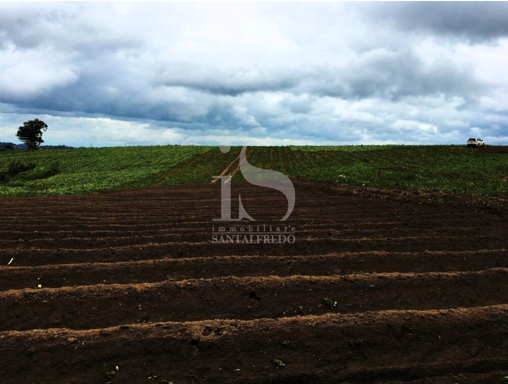 Terreno in vendita a Volturara Appula
