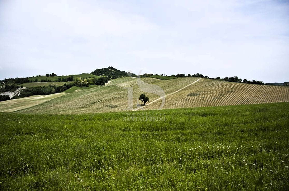 Terreno in vendita a Volturara Appula
