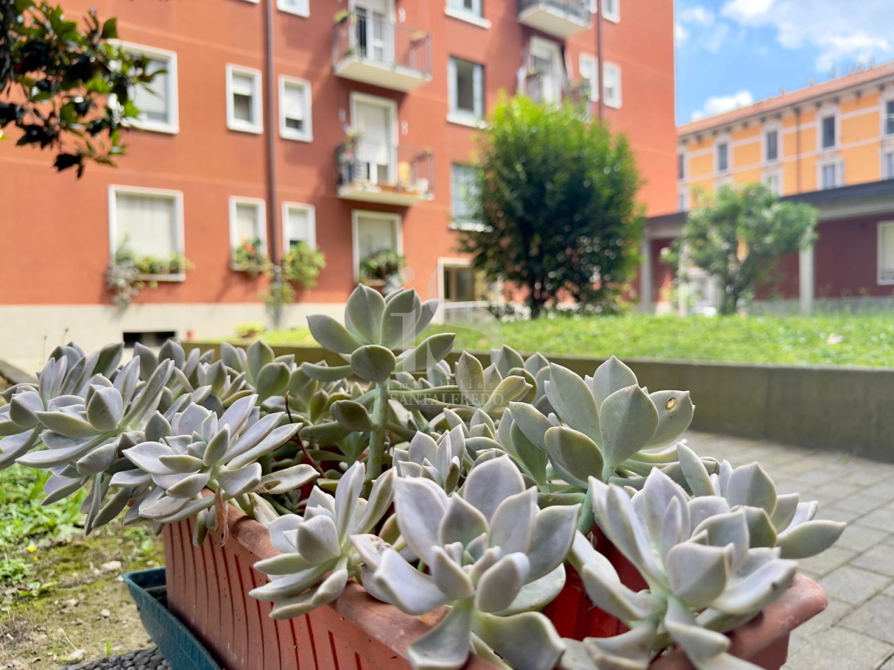 Bilocale arredato in affitto in via salvatore piannel, Milano
