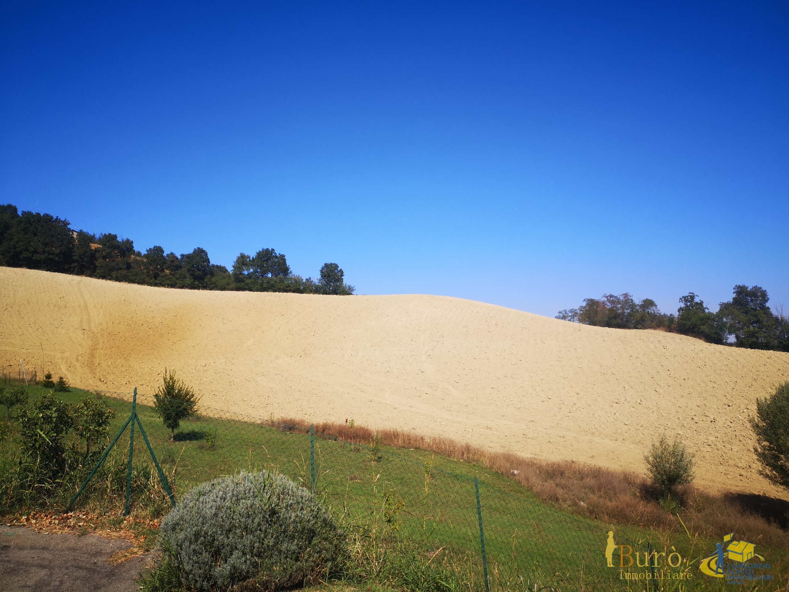 Terreno Agricolo in vendita in strada delle vigne 3, Sala Baganza