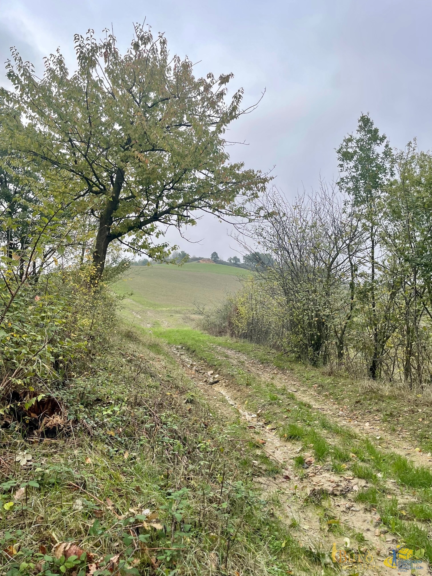 Terreno Agricolo in vendita in strada mulino segantini stecchina, Parma